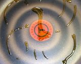 白米消滅しるびー食堂さばのうまいうまい煮作り方6写真