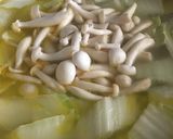 鶏鍋 白湯スープ仕立て作り方8写真