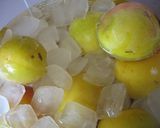 梅のサワードリンク作り方1写真
