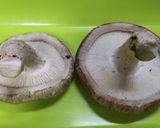しいたけ焼くだけ〜作り方1写真