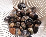 鉄分補給　あさりとレンズ豆の味噌スープ作り方1写真