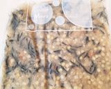 鉄分補給　あさりとレンズ豆の味噌スープ作り方7写真