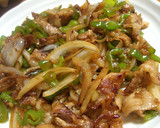 ご飯がすすむ！豚肉と新タマネギの炒め物作り方3写真