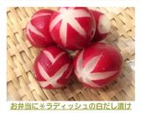 お弁当に＊ラディッシュの白だし漬け作り方8写真