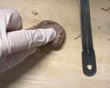 ネギ砂肝作り方5写真