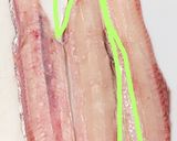 【基本】太刀魚の捌き方(三枚おろし)作り方10写真