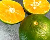 グアム チャモロ フィラデニソース 魚用作り方2写真