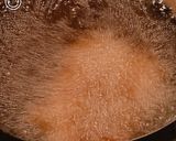 カリホク！ハニバタスイートポテトフライ作り方4写真