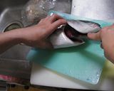 いなだ（ぶりの小さいの）の三枚おろし作り方2写真