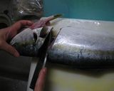 いなだ（ぶりの小さいの）の三枚おろし作り方6写真