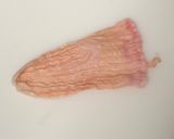 【基本】魚の胃袋の酢味噌和え作り方1写真