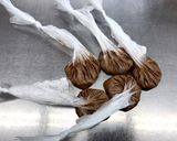 ポリ袋でココア蒸しパン作り方4写真