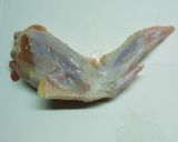 鶏手羽先のオーブン焼き作り方2写真