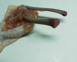 鶏手羽先のオーブン焼き作り方5写真