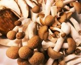 スペイン料理 フリカンド 牛肉玉葱ソース作り方3写真
