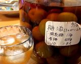 甘くない梅酒(覚書)作り方3写真
