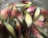 バズる？みょうがの甘酢漬け　作り方3写真