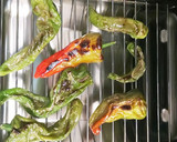 甘長ししとうの南蛮漬け作り方3写真