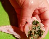 手羽先餃子＼(^o^)／酒がすすむぅ～作り方6写真