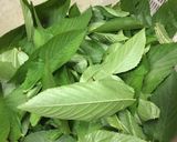 【栄養満点】モロヘイヤの冷製スープ作り方1写真