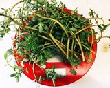 スベリヒユのスープ作り方8写真