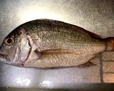 ＜左利きの方のための＞お魚刺身づくり作り方2写真