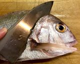 ＜左利きの方のための＞お魚刺身づくり作り方6写真