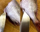＜左利きの方のための＞お魚刺身づくり作り方9写真