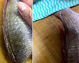 ＜左利きの方のための＞お魚刺身づくり作り方10写真