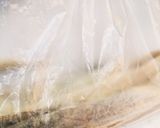 簡単♪焼くだけ←ししゃもの唐揚げ作り方2写真