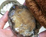 磯の香♪あわびのお刺身作り方8写真