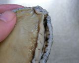 磯の香♪あわびのお刺身作り方10写真