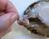 磯の香♪あわびのお刺身作り方13写真