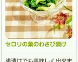 セロリの葉のわさび漬け作り方3写真