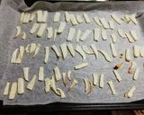 深川飯作り方3写真