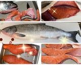 【基本】鮭の捌き方作り方16写真