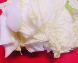 簡単ヘルシー❀鶏肉と焼豆腐と白菜の煮物作り方1写真