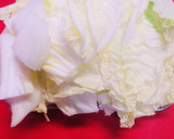 簡単ヘルシー❀鶏肉と焼豆腐と白菜の煮物作り方1写真