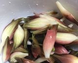 ミョウガの洗い方作り方4写真