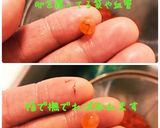 生筋子のほぐし方 醤油漬け作り方7写真