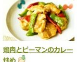 鶏肉とピーマンのカレー炒め作り方5写真