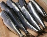 骨までやわらか♪いわしの梅酢煮〜無添加作り方1写真