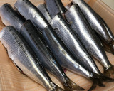 骨までやわらか♪いわしの梅酢煮〜無添加作り方1写真