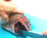 鯛の捌き方 鯛めし作り方2写真