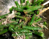 いんげん豆の白みそとろろ昆布和え作り方6写真