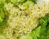 鶏もも肉の塩スパイス炒め●サラダ盛り作り方1写真