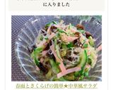 春雨ときくらげの簡単★中華風サラダ作り方11写真
