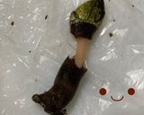 珍味!カメノテの干物作り方2写真