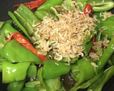 ちょいと一品★甘長唐辛子の麺つゆ桜エビ炒作り方3写真