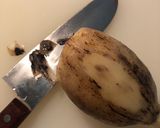 粗挽き豚ひき肉のシャキッと蓮根餃子作り方1写真